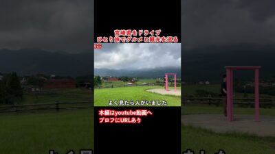 【宮崎観光】なにこれ？宮崎ドライブ旅行の思い出！#ひとり旅 #旅行vlog #宮崎県