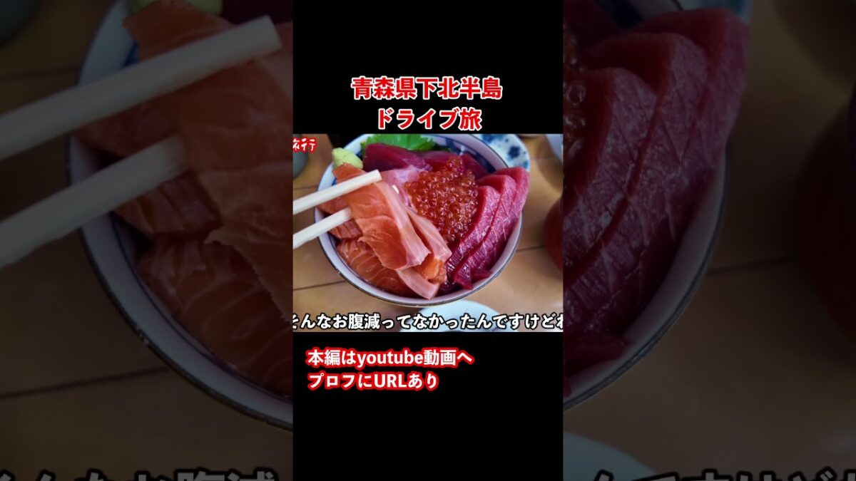 【青森観光】青森グルメ美味い！下北半島ドライブ旅行で本州最北端へ #旅行vlog #ドライブ旅行 #青森観光