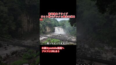 【宮崎観光】宮崎ひとり旅の思い出！#ひとり旅 #旅行vlog #宮崎県