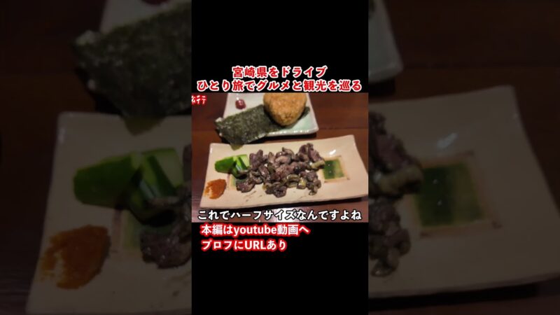 【宮崎観光】宮崎ドライブ旅行の思い出！#ひとり旅 #旅行vlog