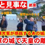 11/20(木)将軍の城で天皇の離宮？二条城の見事な建築物と紅葉に感銘の外国人観光客【紅葉も絶景の元離宮二条城】