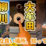 【九州の魅力】福岡の柳川から熊本城を目指すドライブ旅行！歴史と温泉を心ゆくまで楽しめた！日本旅行最高すぎる・・いつか絶対行くべき場所！