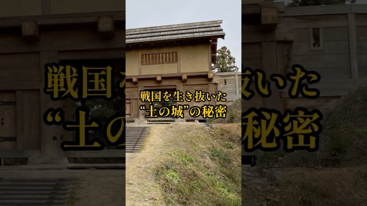 【全国お城めぐり+グルメ・お土産】群馬県:箕輪城#旅行 #お城 #観光 #グルメ #お土産