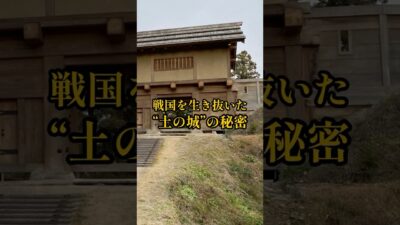 【全国お城めぐり+グルメ・お土産】群馬県:箕輪城#旅行 #お城 #観光 #グルメ #お土産